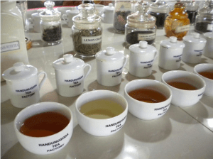 Photo: Handunugoda Tea Estate