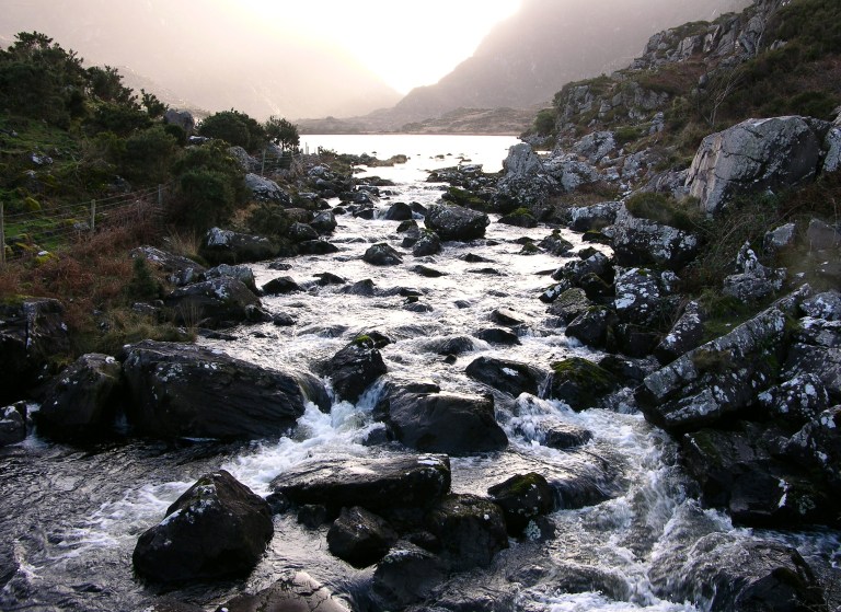 Photo: © Malcolmo | Dreamstime Stock Photos & Stock Free Images