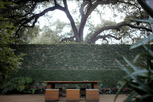 Photo: Hotel San Jose