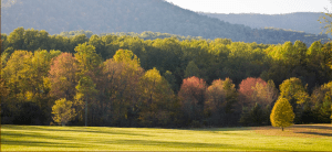 Photo: The Inn at Little Washington