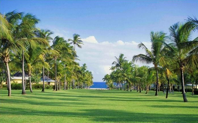 Photo: Nisbet Plantation Beach Club