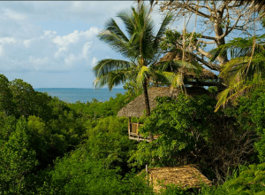 Photo: Chole Mjini Lodge