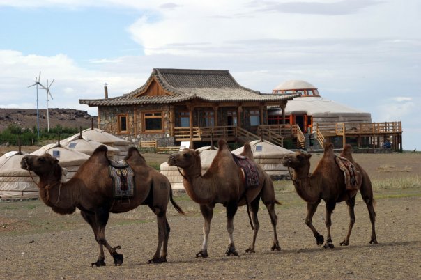 Photo: Three Camel Lodge