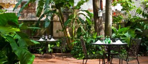 Photo: Las Clementinas S.A.