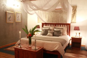 Photo: Imvelo Safari Lodges