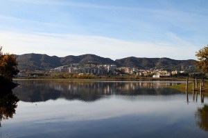 Photo: Spaz Tacular (Own work) [CC-BY-SA-3.0 (http://creativecommons.org/licenses/by-sa/2.0) via Wikimedia Commons