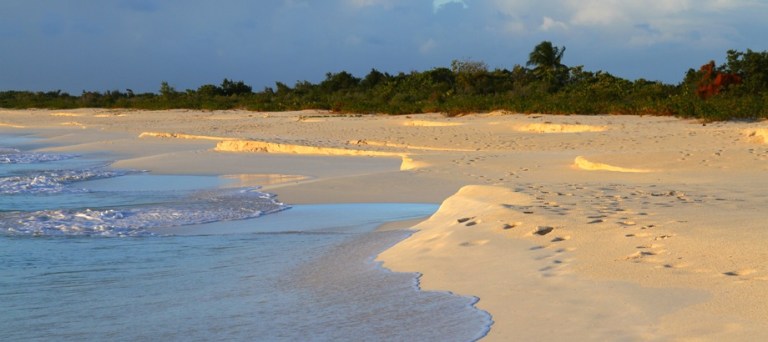 Photo: Coco Point Lodge