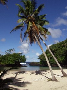 Photo: by CloudSurfer (Own work) [CC-BY-SA-3.0 (http://creativecommons.org/licenses/by-sa/3.0)%5D, via Wikimedia Commons