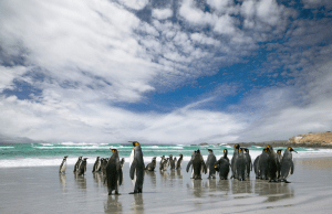 Photo: Malvina House Hotel