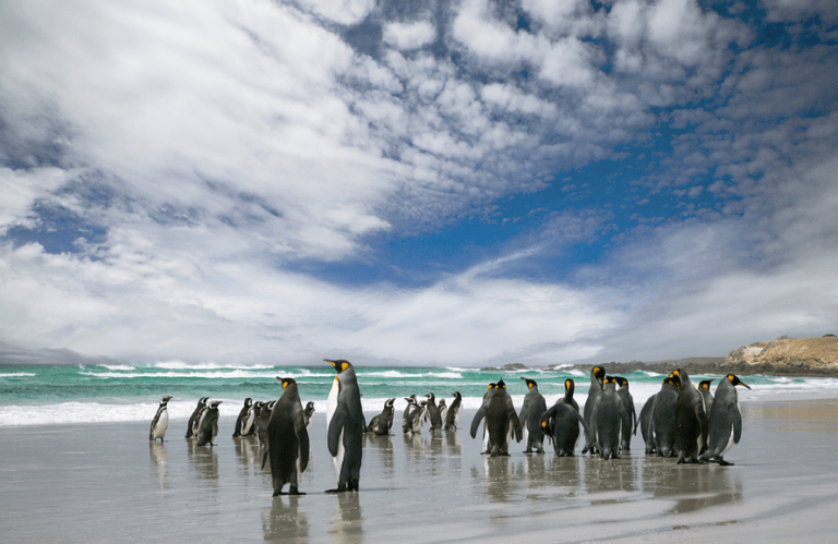 Photo: Malvina House Hotel