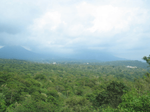 Photo: rutadelasflores.com