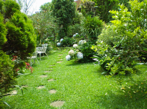 Photo: rutadelasflores.com