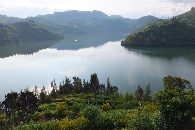 Photo: David Stanley (Own work) [Public domain], via Wikimedia Commons