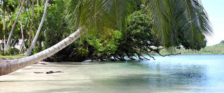 Photo: Tavanipupu Private Island Resort