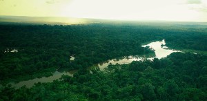 Photo: Wilderness Safaris