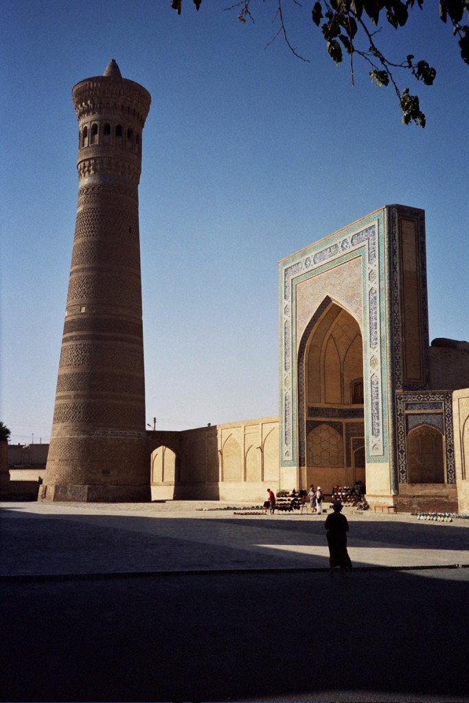 Photo: upyernoz from haverford, USA [CC-BY-2.0 (http://creativecommons.org/licenses/by/2.0)], via Wikimedia Commons