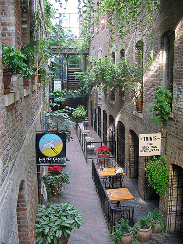 Photo: Marrakeshmint via Wikimedia Commons