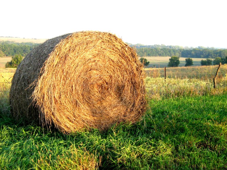 Photo: cstover via stock.xchng