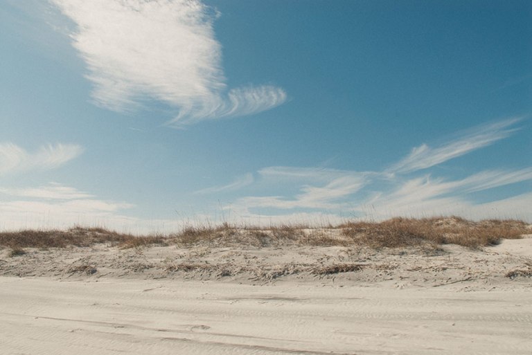 Photo: The Cumberland Island Conservancy, Inc.