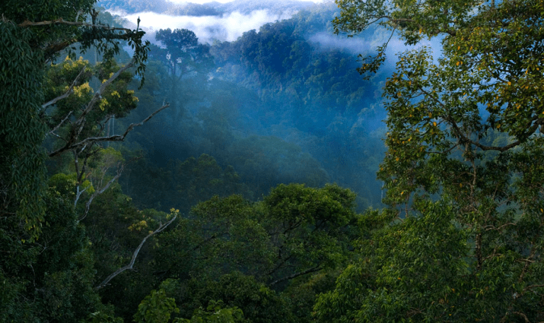 Photo: Ulu Ulu National Park Resort