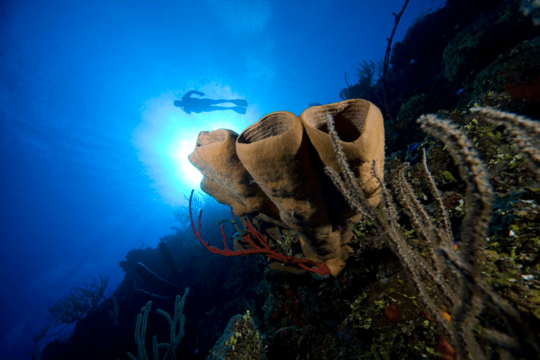 Photo: Southern Cross Club