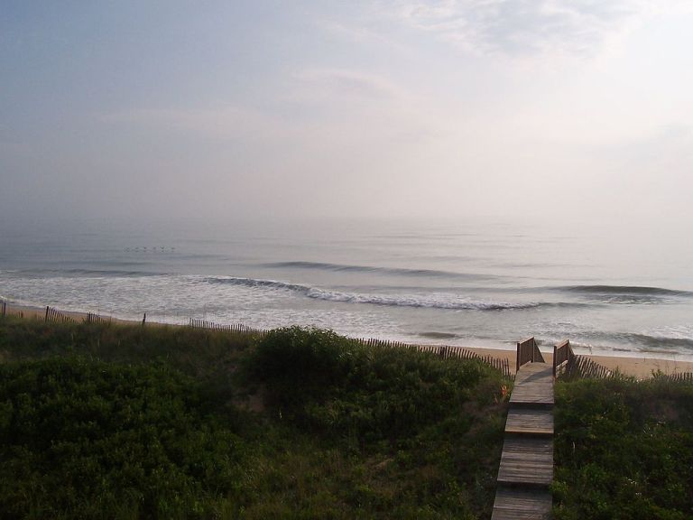 Photo: SCMiller (Own work) [CC-BY-SA-3.0 (http://creativecommons.org/licenses/by-sa/3.0) or GFDL (http://www.gnu.org/copyleft/fdl.html)], via Wikimedia Commons