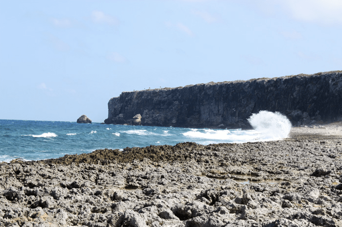 Photo: alexanderhotelcayman.com