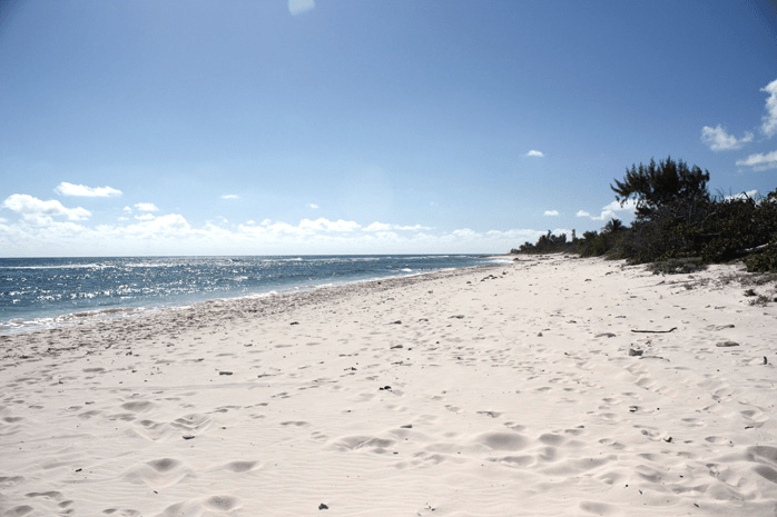 Photo: alexanderhotelcayman.com