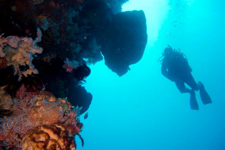 Photo: Andrepiazza (Own work) [CC-BY-SA-3.0 (http://creativecommons.org/licenses/by-sa/3.0)], via Wikimedia Commons