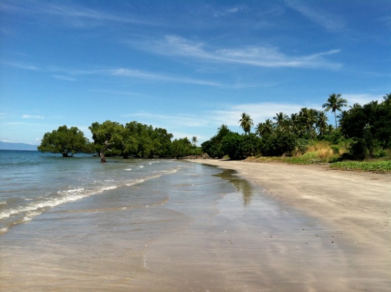 Photo: molly+ [CC-BY-SA-2.0 (http://creativecommons.org/licenses/by-sa/2.0)], via Wikimedia Commons