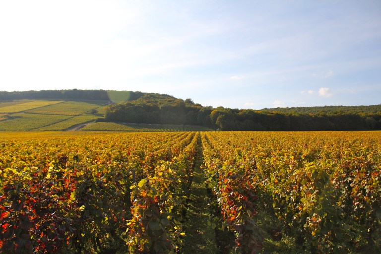 Photo: Les Deux Chèvres