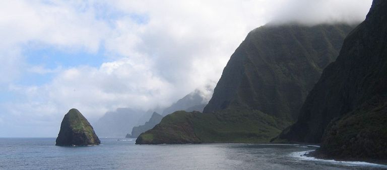 Photo: Daniel Kane (Own work) [CC-BY-SA-3.0 (http://creativecommons.org/licenses/by-sa/3.0)], via Wikimedia Commons