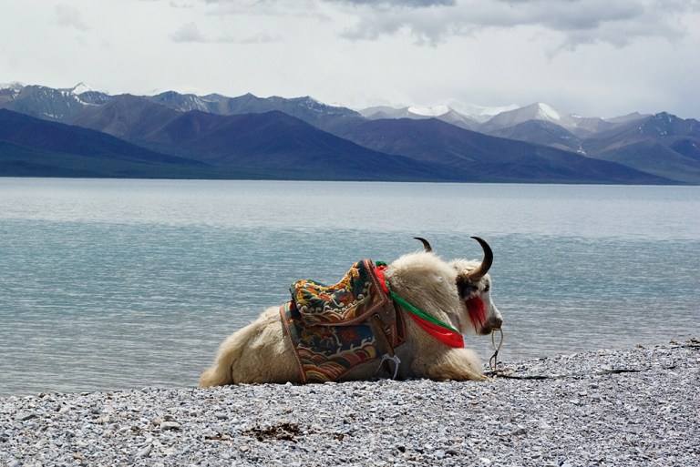 Photo: Julianbce (西河冰雨) [CC-BY-SA-3.0 (http://creativecommons.org/licenses/by-sa/3.0) or GFDL (http://www.gnu.org/copyleft/fdl.html)], via Wikimedia Commons