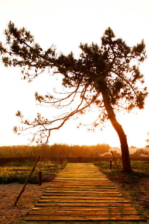 Photo: Areias do Seixo