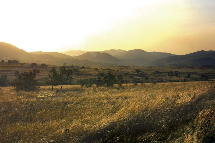 Photo: Foresters Arms