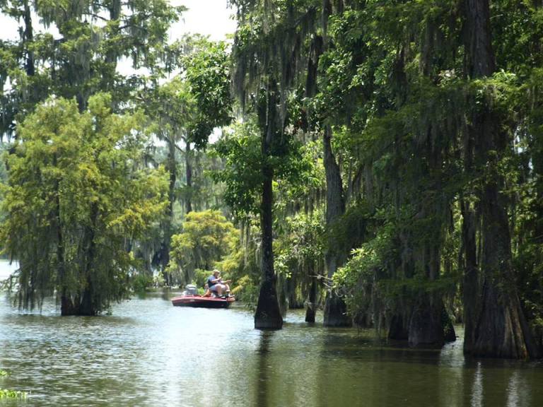 Photo: Lafayette Travel