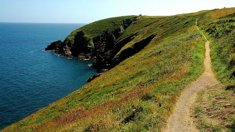 Photo: Mik Herman (Own work) [CC BY-SA 3.0 (http://creativecommons.org/licenses/by-sa/3.0)], via Wikimedia Commons