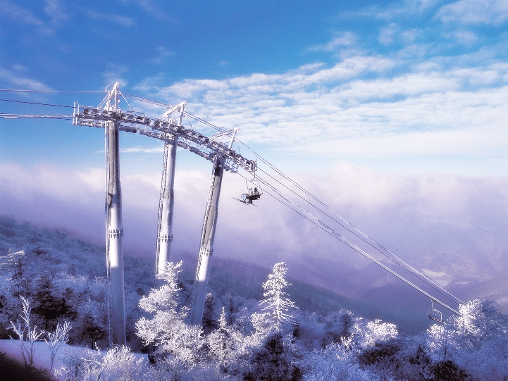 Photo: Softjuice at English Wikipedia [CC BY-SA 3.0 (http://creativecommons.org/licenses/by-sa/3.0) or GFDL (http://www.gnu.org/copyleft/fdl.html)], via Wikimedia Commons