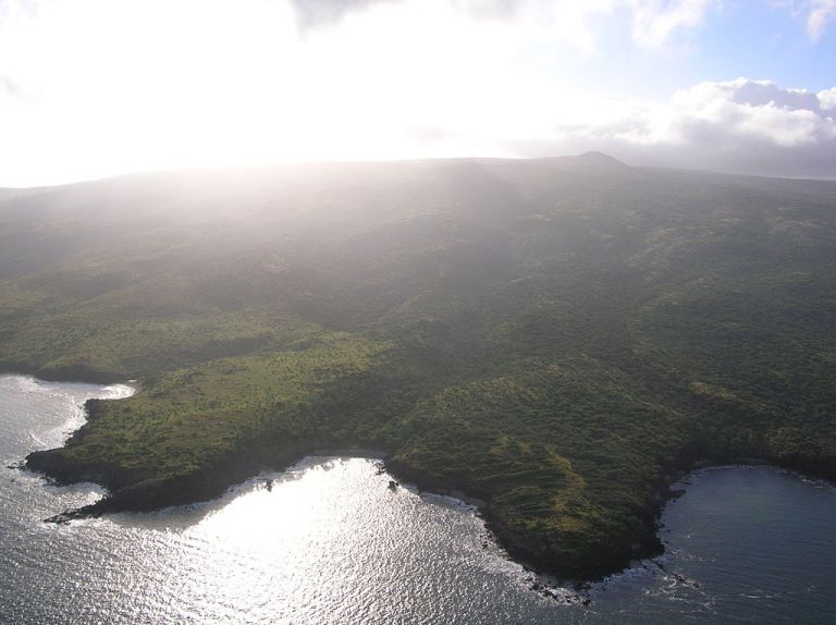 Photo: Forest & Kim Starr [CC BY 3.0 (http://creativecommons.org/licenses/by/3.0)], via Wikimedia Commons