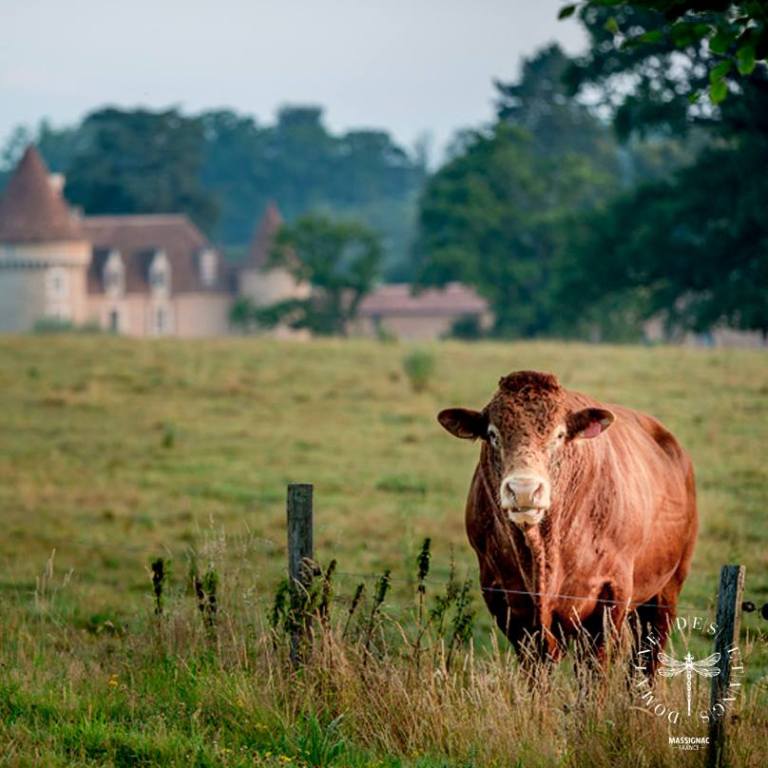 Photo: Domaine des Etangs