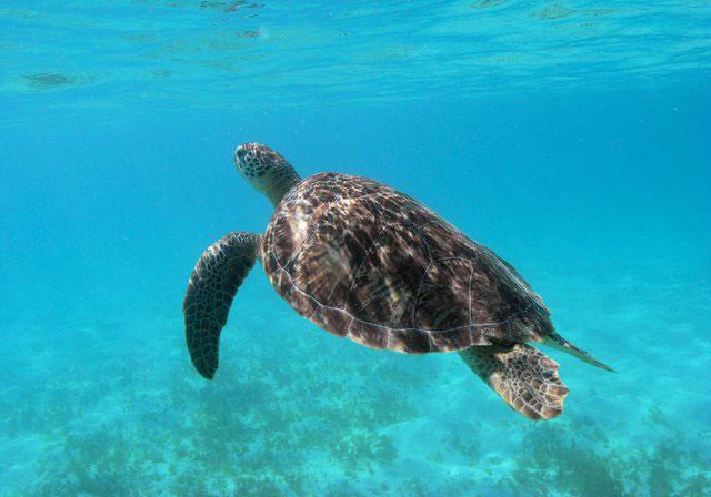 Photo: SVG Ministry of Tourism