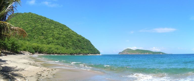 Photo: Patrice78500 (Own work) [CC BY-SA 3.0 (http://creativecommons.org/licenses/by-sa/3.0)], via Wikimedia Commons