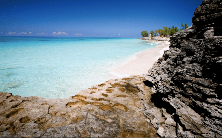 Screen Shot 2015-06-15 at 11.49.49 AM