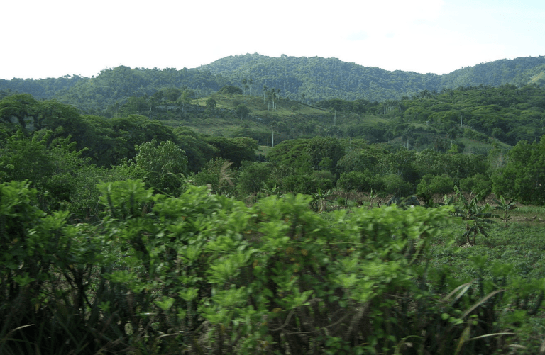 Photo: Effervescing Elephant [Flickr] via Cuba Travel Guides