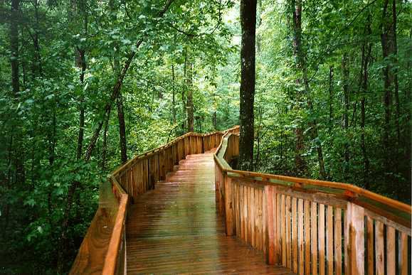 Photo: Lookout Mountain Parkway Association