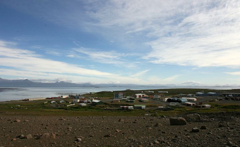 Photo: Daniel Delille [GFDL (www.gnu.org/copyleft/fdl.html) or CC-BY-SA-3.0 (http://creativecommons.org/licenses/by-sa/3.0/)], via Wikimedia Commons