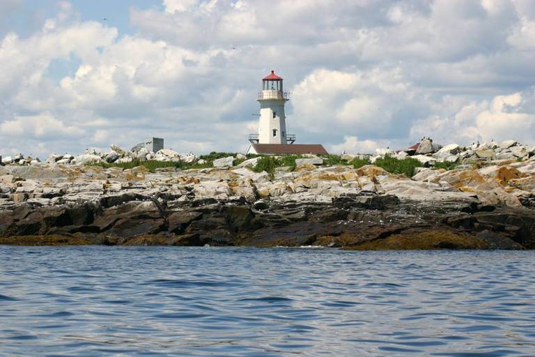 Photo: Sea Watch Tours
