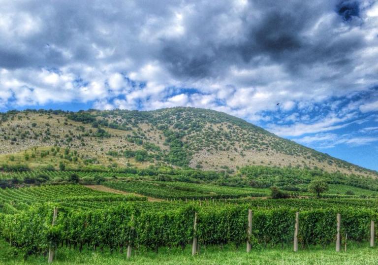 Photo: Gere Attila Pincészete