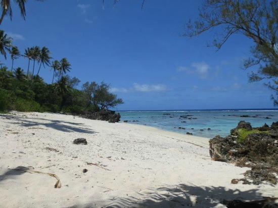 Photo: La Perruche Rouge