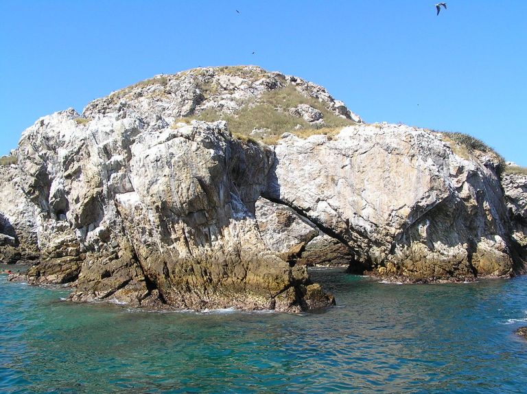 Photo: Marcin Klapczynski [GFDL (http://www.gnu.org/copyleft/fdl.html) or CC BY-SA 3.0 (http://creativecommons.org/licenses/by-sa/3.0)%5D, via Wikimedia Commons